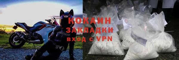индика Алексин