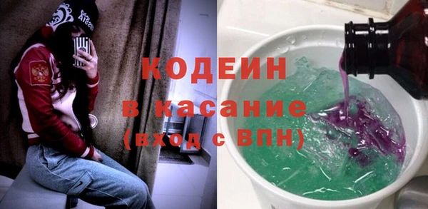 индика Алексеевка