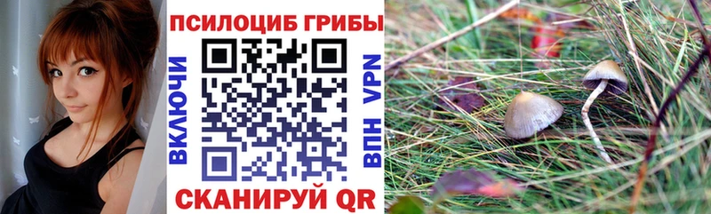 Псилоцибиновые грибы Magic Shrooms  Миасс 